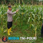 Polres Lampung Tengah Dukung Asta Cita dengan Sosialisasi Ketahanan Pangan ke Masyarakat