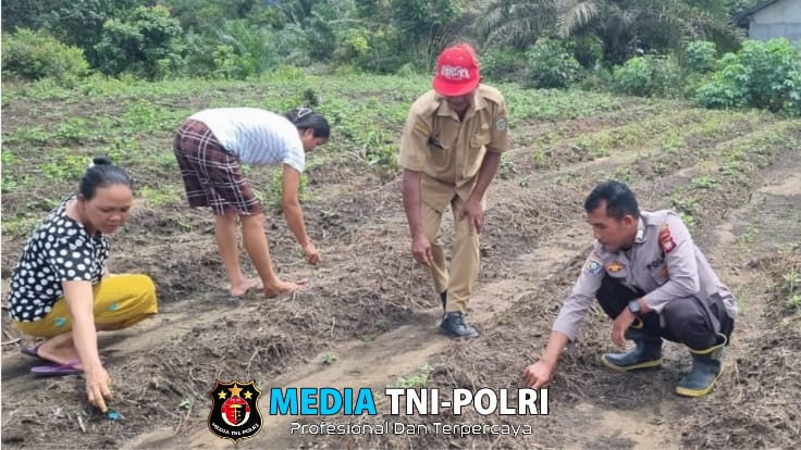 Bhabinkamtibmas Polsek Menjalin Gerakkan Warga Penanaman Pekarangan Pangan Bergizi