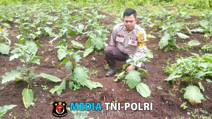 Bhabinkamtibmas Polsek Sebangki Monitoring Program P2B di Desa Sungai Segak