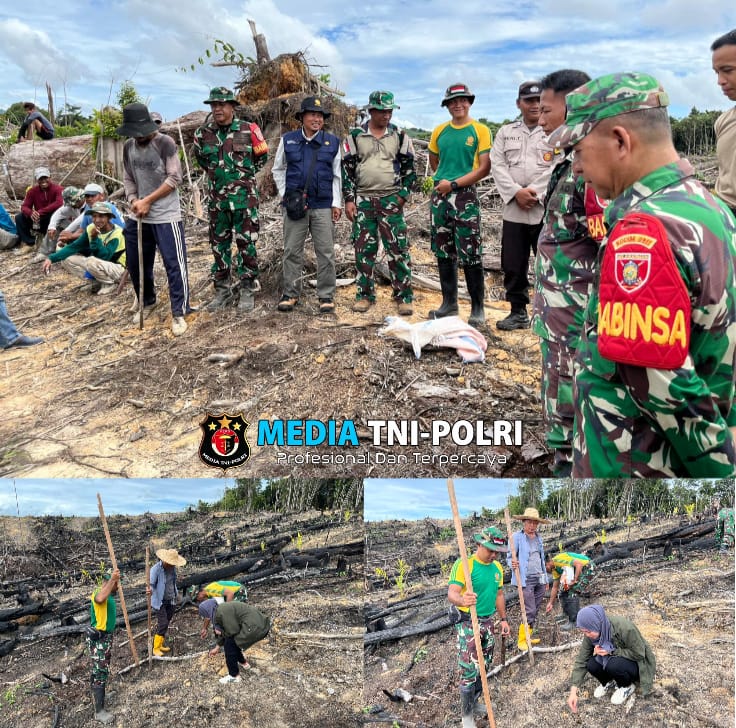 Satgas Pamtas Yonarmed 11 Kostrad Bersama TDM dan Masyarakat Gotong Royong Tanam Jagung di Perbatasan