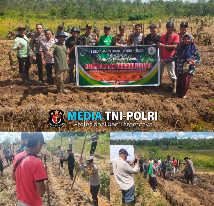 Kapolsek Ngabang Menghadiri Kegiatan Penanaman Perdana Jagung Hibrida Dalam Rangka Ketahanan Pangan