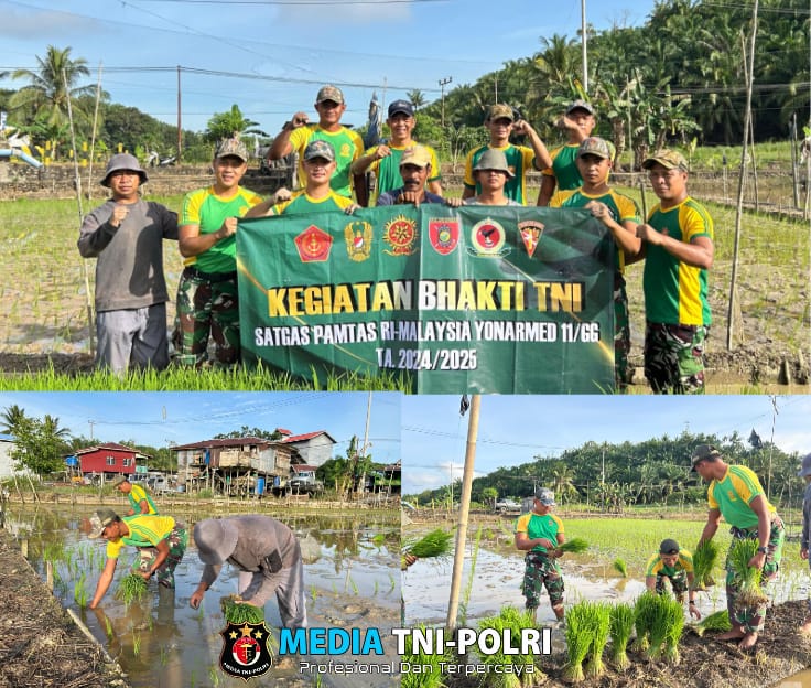 Perkuat Ketahanan Pangan, Satgas Pamtas Yonarmed 11 Kostrad Tanam Padi Bersama Masyarakat di Perbatasan