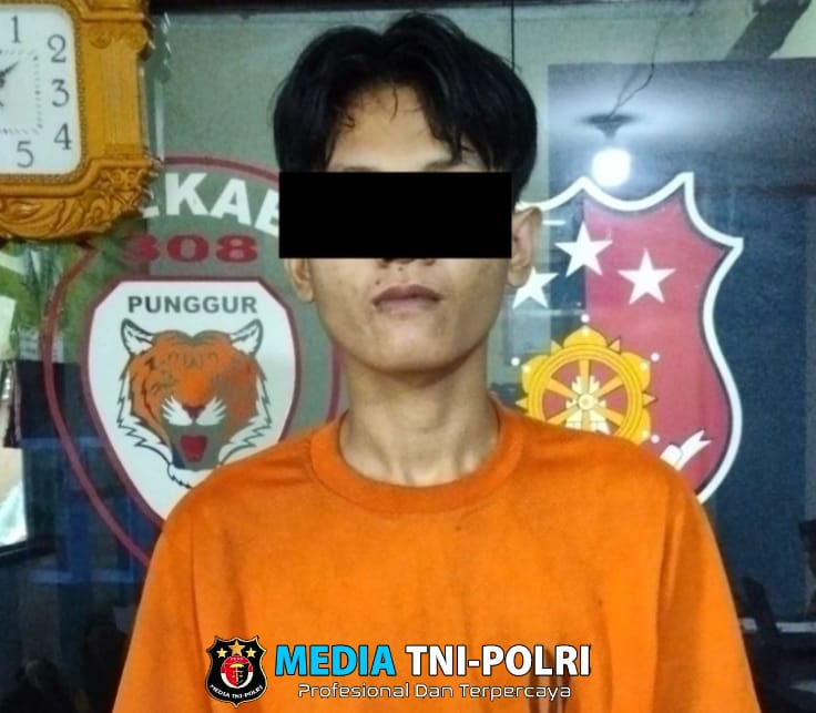 Pelaku Cabul Ditangkap Polsek Punggur