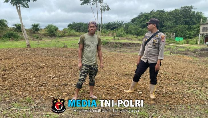 Polsek Meranti Intensifkan Cek Progres Tanamaan Jagung Hibrida