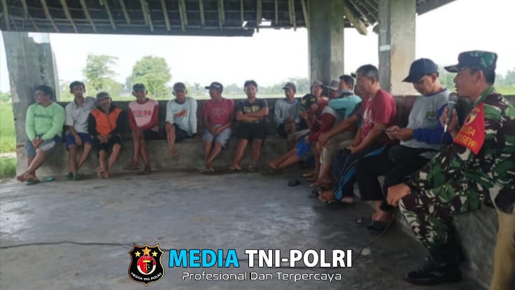 Sambut Panen Raya, Babinsa Bendosewu Bersama PPL Sosialisasikan Sergab ke Poktan Rukun Santoso 2