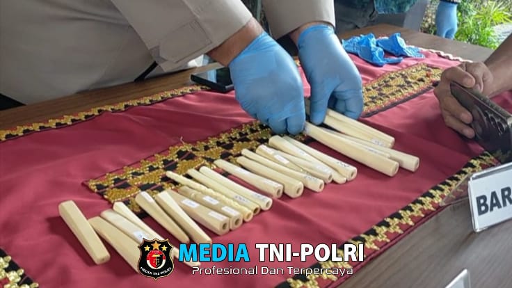 Polda Lampung Imbau Warga Hindari Jual Beli Bagian Satwa Dilindungi