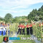 Berhasil Terapkan Ketahanan Pangan di Wilayah Lampung Prajurit TNI AL Panen Raya Buah Melon