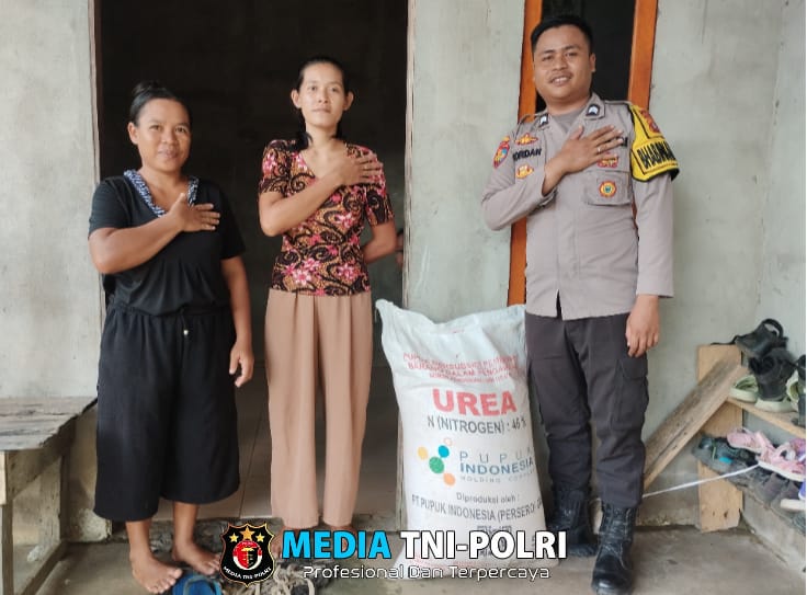 Bintara Penggerak Ketahanan Pangan Briptu Yordanus Alola Serahkan Bantuan Pupuk Pada KWT