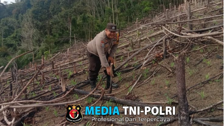 Polisi Peduli Pertanian Bhabinkamtibmas Polsek Sebangki Tinjau Lahan Jagung di Desa Agak