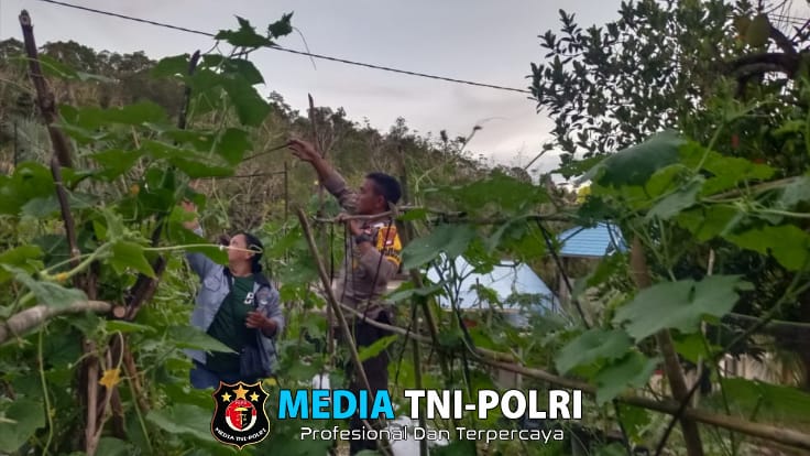 Dalam Rangka Mendukung Ketahanan Pangan Bintara Penggerak Desa Mandor Kiru Cek Pekarangan Pangan Bergizi