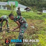 Satgas Yonif 762/VYS Manfaatkan Lahan Kosong, Dukung Ketahanan Pangan