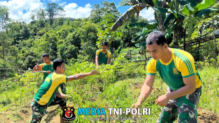 Langkah Nyata Kemandirian Pangan, Satgas Pamtas Yonarmed 11 Kostrad Manfaatkan Lahan Kosong di Perbatasan