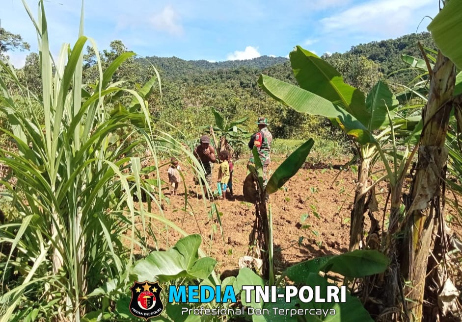 Wujud Kedekatan Babinsa Siriwo, Bantu Warga Bersihkan Kebun Keladi di Wilayah Binaan