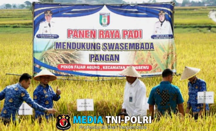 Dukung Swasembada Pangan, Bupati Pringsewu Hi . Riyanto Pamungkas Panen Raya Padi di Pekon Fajaragung