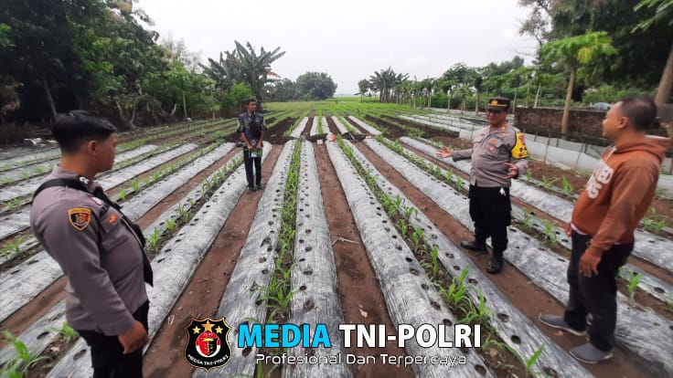Dukung Ketahanan Pangan, Polsek Lengkong Pantau Pemanfaatan Lahan Perkarangan di Desa Sawahan