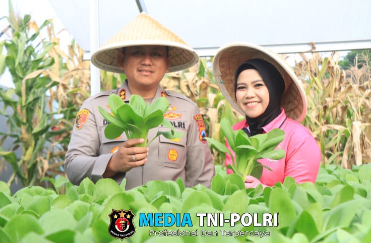 Polres Malang Panen Jagung di P2L Polsek Kepanjen, Dukung Ketahanan Pangan