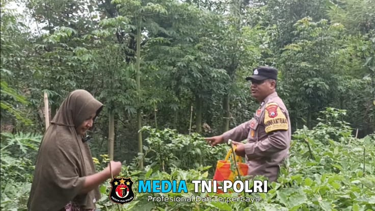 Bhabinkamtibmas Desa Senjayan Dukung Ketahanan Pangan dengan Monitoring Tanaman Terong