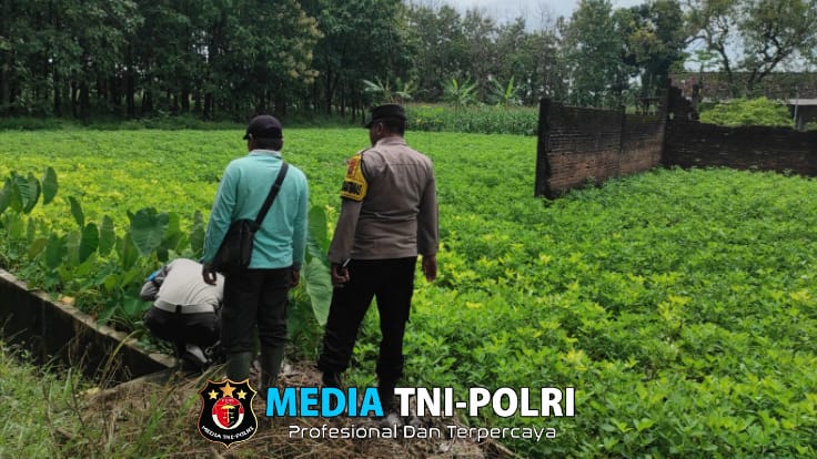 Bhabinkamtibmas Polsek Bubulan Dukung Program Ketahanan Pangan Nasional Cek Lahan Tanaman Bergizi
