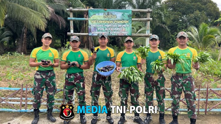 Perkuat Ketahanan Pangan, Satgas Pamtas Yonarmed 11 Kostrad Laksanakan Panen Hasil Kebun di Perbatasan