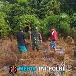 Turut Meningkatkan Sumber Pangan Babnsa Koramil 1705-07/Siriwo Membantu Membuka Lahan Perkebunan Masyarakat