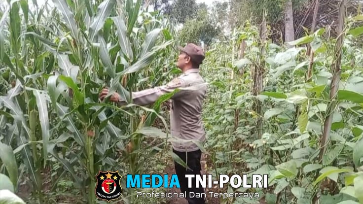 Dukung Ketahanan Pangan, Polres Nganjuk Pantau Pemanfaatan Lahan Perkarangan di Desa Gondang