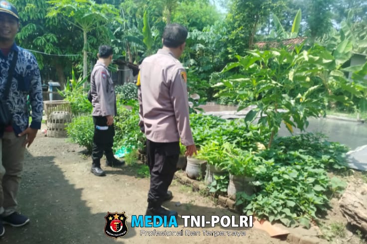 Dukung Ketahanan Pangan, Polsek Baron Pantau Budidaya Lele di Desa Mabung