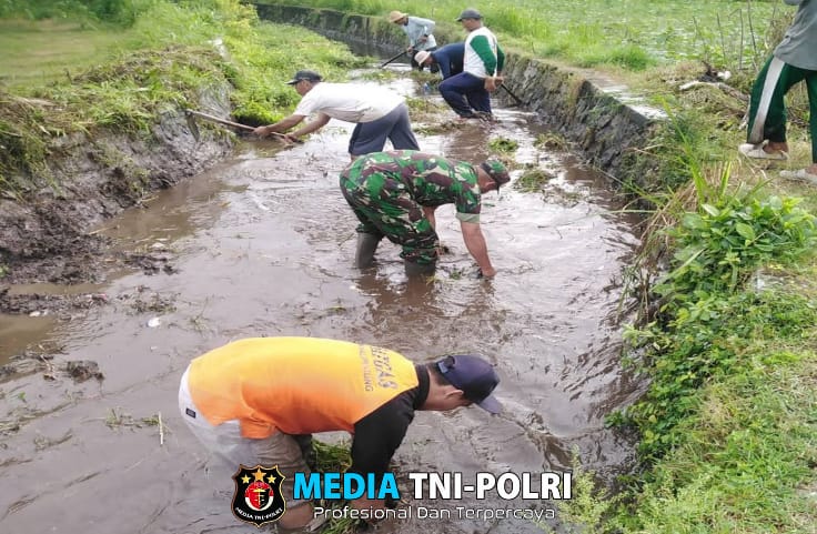 Optimalkan Saluran Irigasi Pertanian, Babinsa Kalipucung Bersama Poktan Tata Tentram Lakukan Kerja Bakti