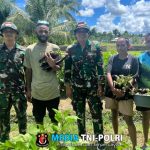 Mendukung Program Pemerintah Dalam Ketahanan Pangan, Satgas Yonif 131/BRS Manfaat Lahan Kosong Bersama Masyarakat di Perbatasan Papua