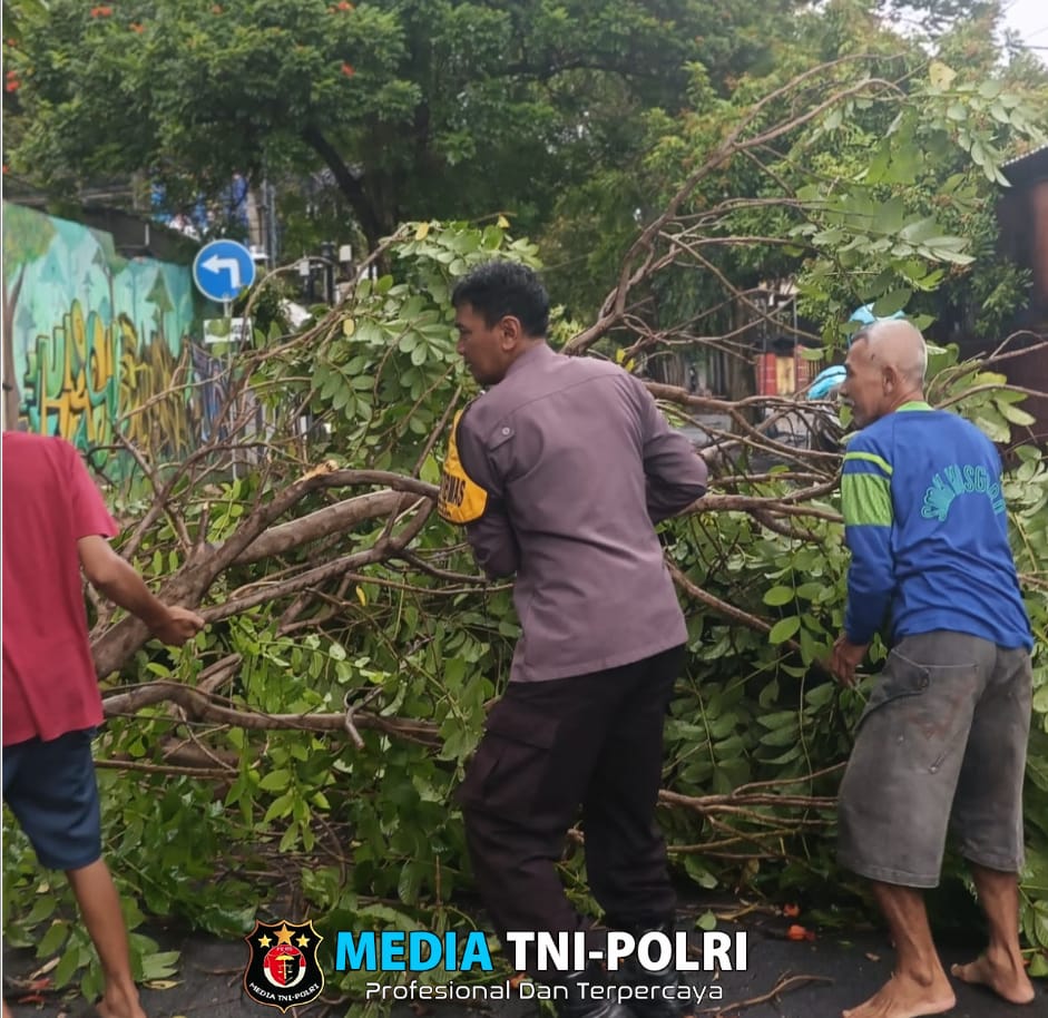 Polsek Nganjuk Kota Bersama BPBD Evakuasi Pohon Tumbang Akibat Cuaca Ekstrem