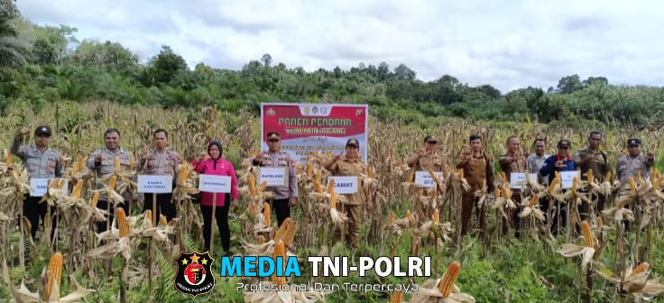 Polsek Meranti Panen Perdana Tanaman Jagung