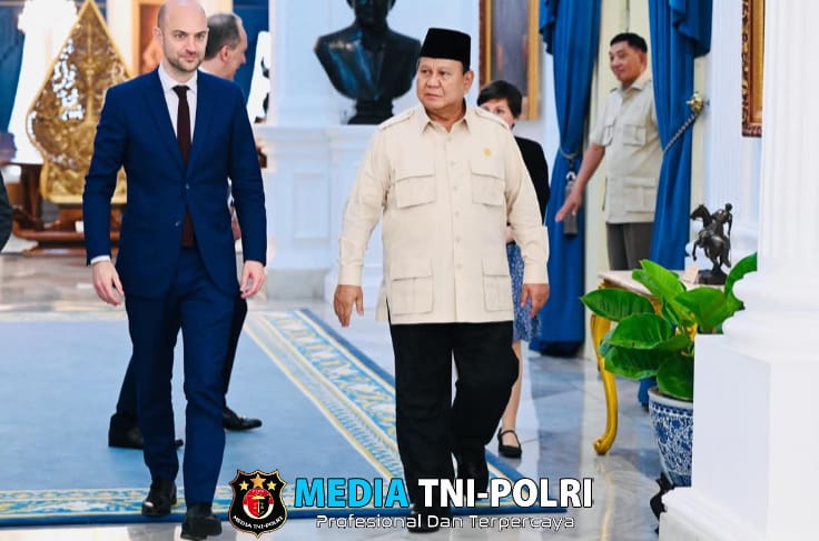 Terima Menlu Prancis, Presiden Prabowo Tekankan Penguatan Kemitraan Strategis Antar Kedua Negara
