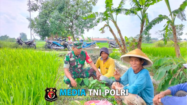 Kedekatan Babinsa Teras dengan Petani Desa Kopen