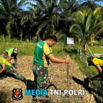 Optimalkan Lahan Kosong, Satgas Pamtas Yonarmed 11 Kostrad Laksanakan Penanaman Bibit Sayuran