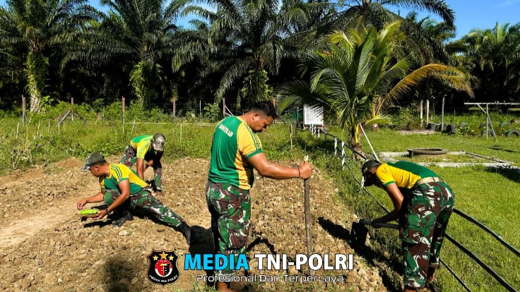 Optimalkan Lahan Kosong, Satgas Pamtas Yonarmed 11 Kostrad Laksanakan Penanaman Bibit Sayuran