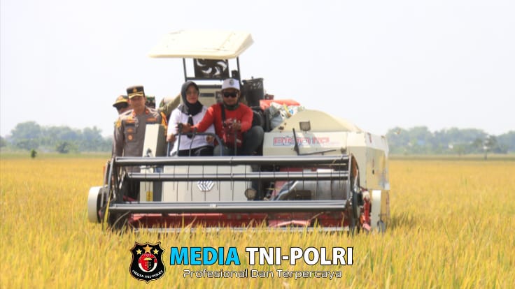 Panen Raya Padi Serentak, Polres Bojonegoro Dukung Petani Lewat Pendampingan Intensif