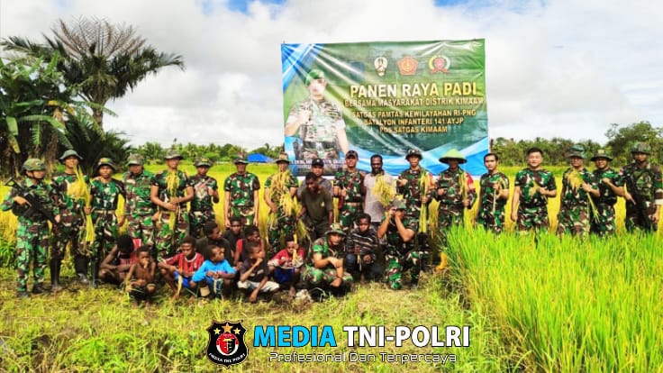 Babinsa Koramil Kimaam Melaksanakan Panen Raya Bersama Personel Satgas dan Masyarakat