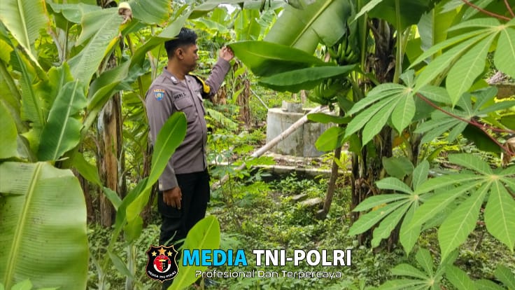 Bhabinkamtibmas Kurungrejo Cek Perkembangan Lahan Ketahanan Pangan