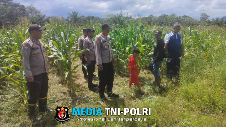 Polsek Air Besar Dampingi Pamatwil Ketahanan Pangan Tinjau Lokasi Siap Panen