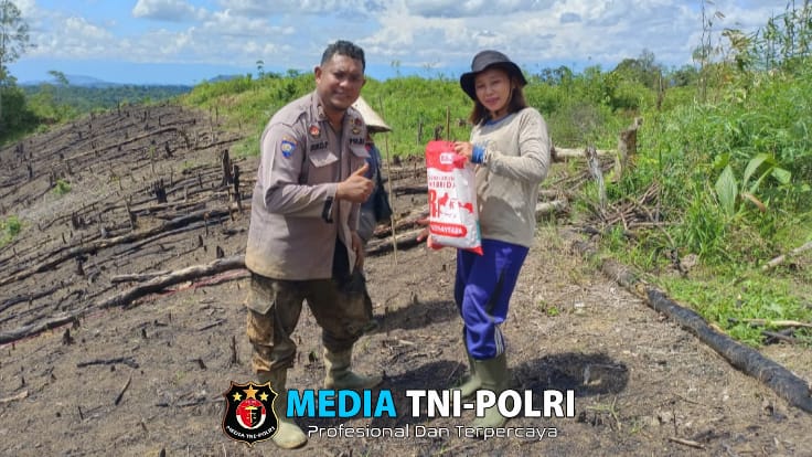 Dukung Ketahanan Pangan Bhabinkamtibmas Hadir Bersama Kelompok Tani Tanam Tanaman Jagung