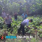 Panen Terong di Polsek Wilangan, Warga Sekitar Kebagian