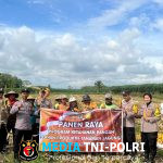 Polsek Metro Kibang Bantu Warga Panen Jagung di Desa Margajaya