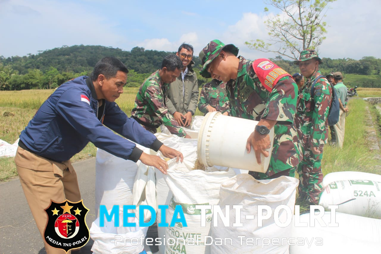 Babinsa Mojosongo Dampingi Bulog Sergab Petani Dlingo