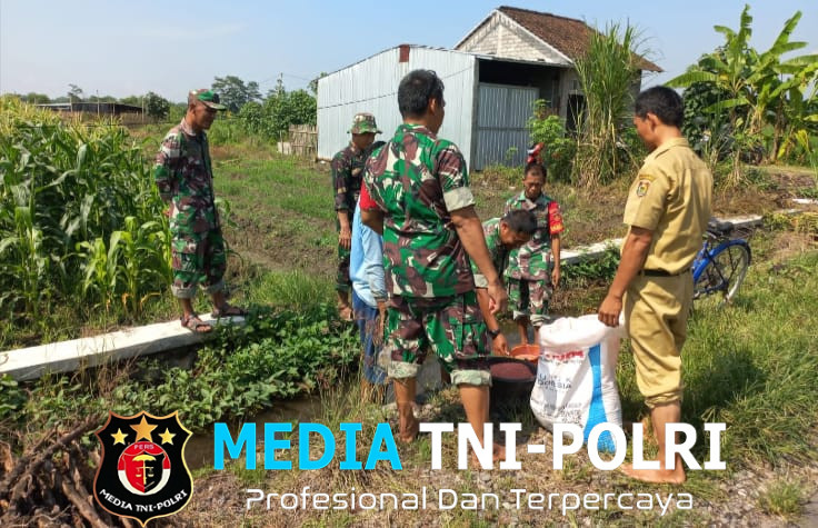 Babinsa Sawit Terjun Langsung Bantu Petani Desa Manjung