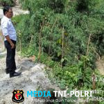 Sat Reskrim Polres Simalungun Tegas Selidiki Tambang Pasir Ilegal di Dolok Panribuan