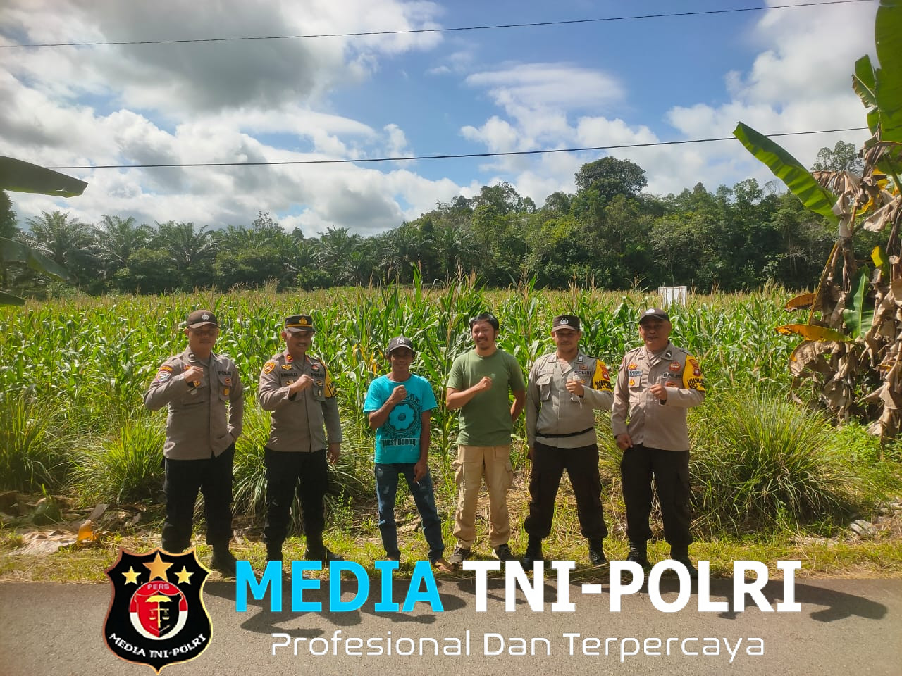 Pemantauan Ketahanan Pangan, Kapolsek Air Besar Tinjau Jagung Siap Panen