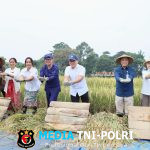 Wamendagri Bima Arya Tekankan Kemandirian dan Ketahanan Pangan dalam Panen Raya di Bogor