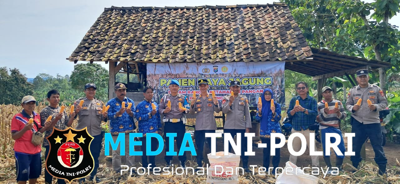 Polres Tanggamus Gelar Panen Raya Jagung di Pulau Panggung, Dukung Ketahanan Pangan