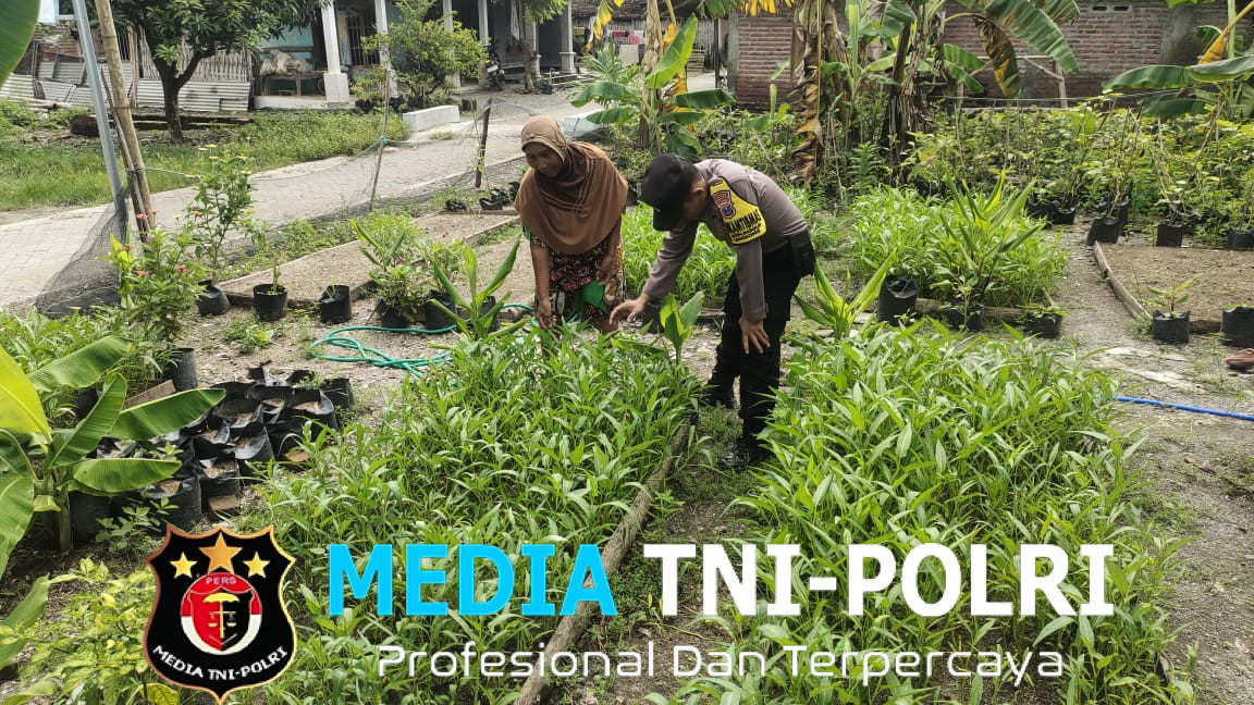 Dukung Ketahanan Pangan, Bhabinkamtibmas Polsek Lengkong Panen Kangkung dan Terong di Lahan Warga