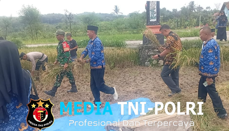 Anggota Koramil Wonosegoro Tunjukkan Dedikasinya Dukung Ketahanan Pangan