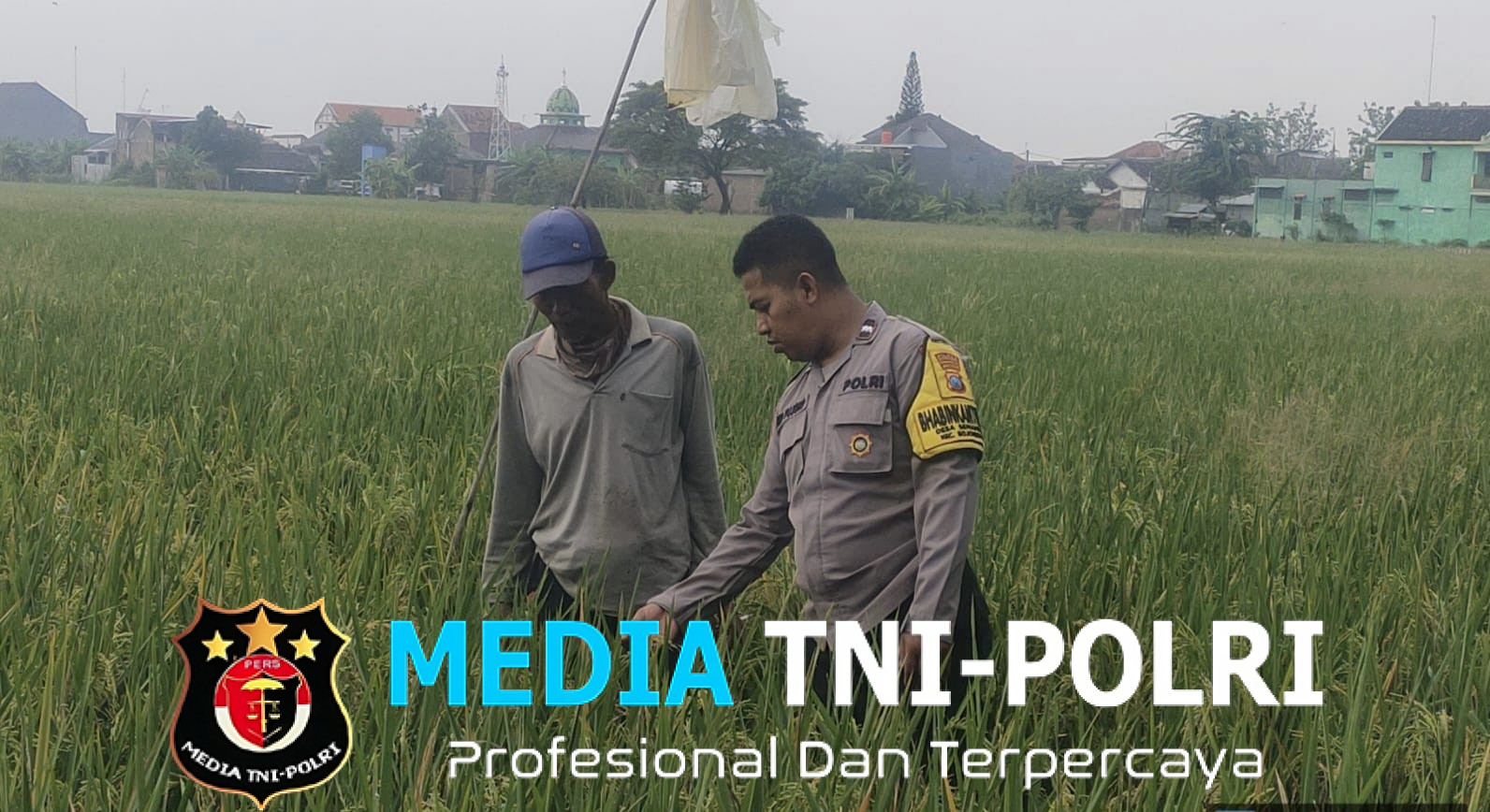 Aipda Dwi Pujoko Terjun Langsung Dampingi Petani di Desa Semanding untuk Meningkatkan Hasil Panen